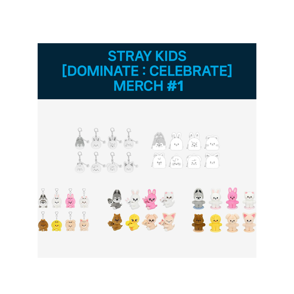 Stray Kids [dominATE : celebrATE] Merch 1