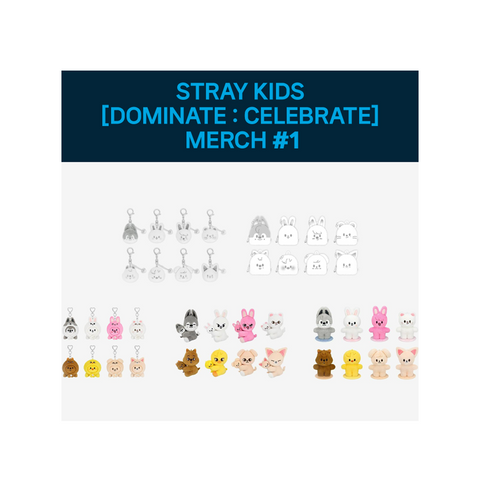 Stray Kids [dominATE : celebrATE] Merch 1